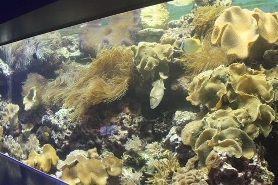 Chongqing Jiangbei Haiyang Park